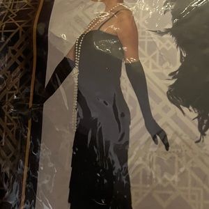 Flapper dress just the dress